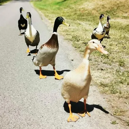 Backhaus - Gut Wittmoldt